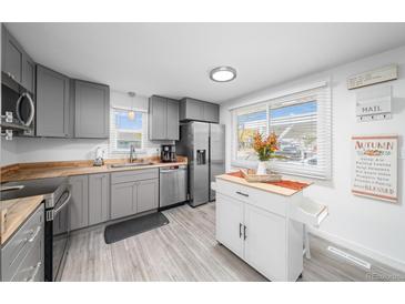 Modern kitchen with gray cabinets, stainless steel appliances, and an island at 1502 Carmelita Ct, Platteville, CO 80651