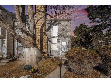 Townhouse exterior featuring landscaping and a tree in front at 8867 W Floyd Ave, Lakewood, CO 80227