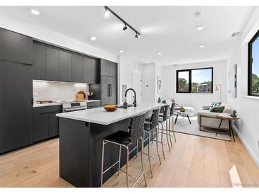 Modern kitchen with black cabinets, a large island with seating, and an open floor plan to the living room at 1601 Park Ave # 212, Denver, CO 80218