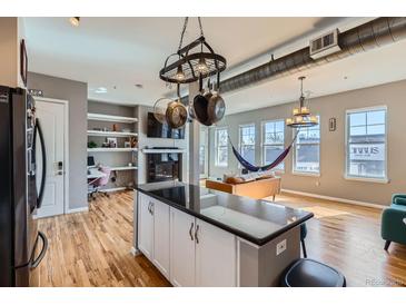 Bright living room featuring a hanging hammock, stylish decor, and an open layout connected to the kitchen at 1489 Steele St # 104, Denver, CO 80206