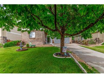 Charming home featuring a well-manicured lawn, mature tree, and a classic brick facade at 11716 Fairplay St, Commerce City, CO 80603