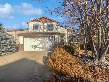 Charming two-story home featuring a two-car garage, classic design and well-maintained landscaping at 10020 Strathfield Ln, Highlands Ranch, CO 80126