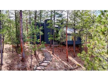 Modern mountain home nestled among mature pine trees with stone stairs leading to front door at 4966 Delaware Dr, Larkspur, CO 80118