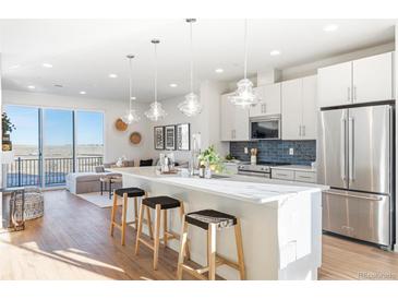 Open concept kitchen with island, stainless steel appliances, and white cabinetry at 10860 Lyric St, Lone Tree, CO 80134
