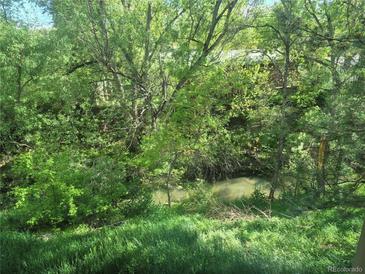 Lush backyard oasis featuring mature trees and a flowing creek at 701 Harlan St # E53, Lakewood, CO 80214
