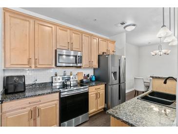 Modern kitchen featuring stainless steel appliances and stylish granite countertops at 4100 Albion St # 314, Denver, CO 80216