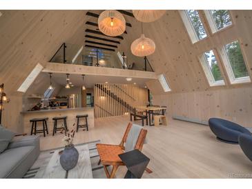 Spacious living room featuring wooden walls, skylights, and modern lighting fixtures at 563 Cr 672, Breckenridge, CO 80424