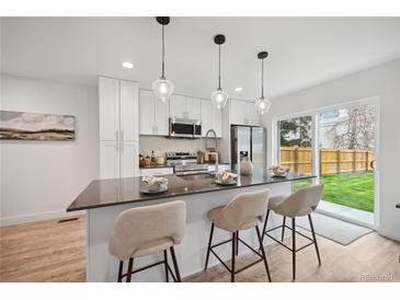 Modern kitchen with island, stainless steel appliances, and backyard access at 5232 Columbine Ln, Denver, CO 80221