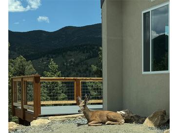 A relaxing deer rests outside this mountain house with stone accents and a wood deck at 33884 Bergen View Trl, Evergreen, CO 80439