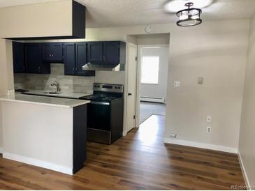 Bright kitchen features stainless steel appliances, modern lighting, and a convenient breakfast bar at 5875 E Iliff Ave # 203, Denver, CO 80222