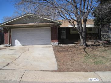 Charming single-story home with a two-car garage and brick accents, complemented by mature trees in the front yard at 8145 Pennsylvania St, Denver, CO 80229