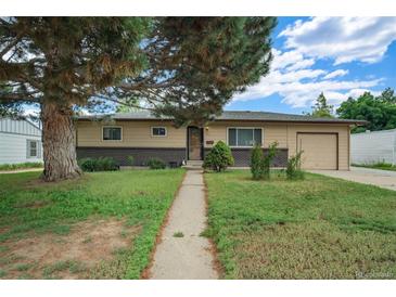Ranch-style home with a one-car garage, brick accents, and a mature shade tree in a lush front yard at 1231 W Radcliff Ave, Englewood, CO 80110