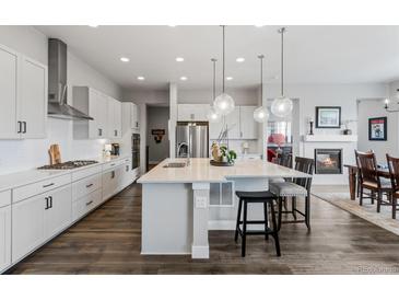 Bright kitchen with an expansive island and stainless steel appliances at 3093 Belay Pt, Castle Rock, CO 80108
