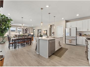 Open concept kitchen featuring white cabinetry, stainless appliances, and a large center island at 4538 Hidden Gulch Rd, Castle Rock, CO 80104