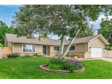 Charming single-story home with a well-manicured lawn, mature trees, and inviting curb appeal at 7719 S Jackson Cir, Centennial, CO 80122