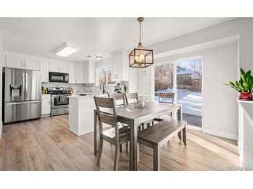 Bright kitchen with stainless steel appliances and white cabinets at 9573 Castle Ridge Cir, Highlands Ranch, CO 80129