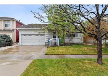 Charming single-story home with a well-maintained lawn, attached garage, and mature trees enhancing curb appeal at 4819 Jericho Ct, Denver, CO 80249