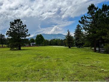 Expansive front yard featuring lush green grass, mature trees, and a scenic mountain backdrop on a partly cloudy day at 29663 Paint Brush Dr, Evergreen, CO 80439