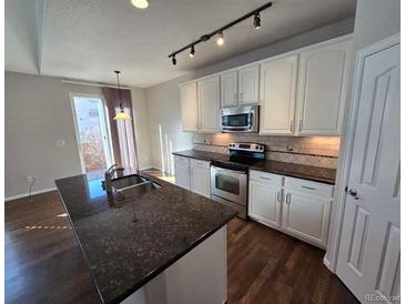 Modern kitchen with a large island, stainless steel appliances, and wooden floors at 1927 Rannoch Dr, Longmont, CO 80504