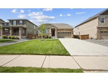 Well-maintained front yard featuring a lush lawn, mature tree, and a house with a stone and siding exterior at 1261 W 170Th Ave, Broomfield, CO 80023