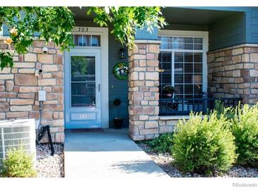 Charming front entrance featuring a stone facade, blue door with glass, and well-maintained landscaping at 457 Black Feather Loop # 703, Castle Rock, CO 80104