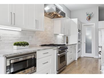 Bright kitchen featuring white cabinets, stainless steel appliances, and marble countertops at 2111 S Franklin St, Denver, CO 80210