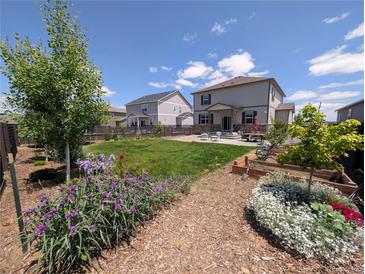 Landscaped backyard with healthy green grass, patio, and raised garden beds at 9 N Waterloo St, Aurora, CO 80018