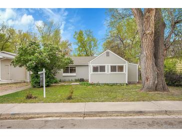 Charming gray single-story home featuring a lush front yard with mature trees and appealing landscaping at 113 E Saint Clair Ave, Longmont, CO 80504