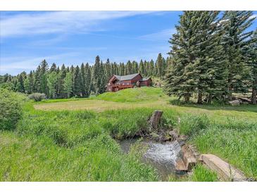 Charming home nestled on a hill surrounded by lush greenery and a serene creek at 27612 Shadow Mountain Dr, Conifer, CO 80433