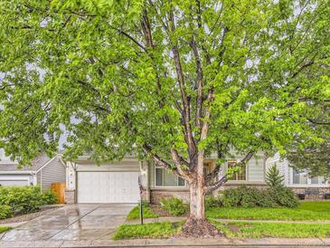 Charming home featuring a well-manicured lawn, mature trees, and a welcoming two-car garage at 19346 E Clear Creek Way, Parker, CO 80134