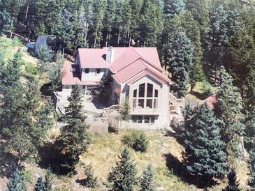 View of cabin-style home with red roof nestled in a lush forest setting at 28650 Cavan Ln, Evergreen, CO 80439