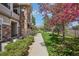 Exterior view showcasing a landscaped walkway, lush lawn, and mature trees with pink blossoms at 12711 Colorado Blvd # 1009, Thornton, CO 80241