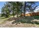 Relaxing bench swing nestled under trees, set against a wooden fence at 10534 Inspiration Dr, Parker, CO 80138