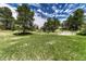 Spacious backyard with mature trees, set against a partly cloudy sky at 10534 Inspiration Dr, Parker, CO 80138