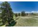 Vast backyard with mature trees, open space and clear blue sky at 10534 Inspiration Dr, Parker, CO 80138