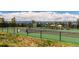 Outdoor tennis court with green surface and surrounding fencing and trees at 3216 Country Club Pkwy, Castle Rock, CO 80108