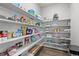 Well-organized pantry with extensive shelving, providing ample storage for food and household items at 4851 Cattle Cross Rd, Castle Rock, CO 80104