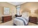 Charming bedroom with a desk, dresser, and nightstands; a cozy and inviting space at 10182 Bristleridge St, Parker, CO 80134