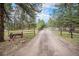 Scenic driveway surrounded by mature trees leading to the property at 33844 Oriole Ct, Elizabeth, CO 80107