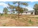 Expansive backyard with mature trees, offering privacy and natural beauty at 1604 Lisbon Dr, Parker, CO 80138