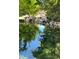 Close up of a beautiful backyard pond with rocks and plants creating a relaxing and natural environment at 3235 E Easter Pl, Centennial, CO 80122
