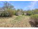 Well-maintained backyard featuring a storage shed and lush greenery at 9400 High St, Thornton, CO 80229