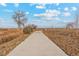 Concrete walking path through a landscape featuring natural prairie grasses and scattered trees at 2184 Alyssa St, Fort Lupton, CO 80621