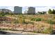 A thriving community garden with raised beds and various plants in a neighborhood setting at 1702 W 66Th Ave, Denver, CO 80221