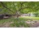 Spacious backyard with mature tree, swing and shed at 10462 Hoyt St, Westminster, CO 80021