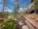 Wood chip path along the property with views of nature at 4198 Timbervale Dr, Evergreen, CO 80439