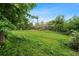 View of a spacious backyard featuring a lush lawn and mature trees offering shade and privacy at 8764 W 95Th Ave, Broomfield, CO 80021