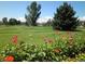 Scenic view of a well-maintained golf course with colorful flowers in the foreground at 580 S Clinton St # 12C, Denver, CO 80247