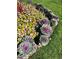 Close-up view of well-maintained garden with colorful flowers and healthy plants at 580 S Clinton St # 12C, Denver, CO 80247
