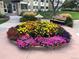Well-kept landscaping with a variety of flowers and seating by the building entrance at 580 S Clinton St # 12C, Denver, CO 80247